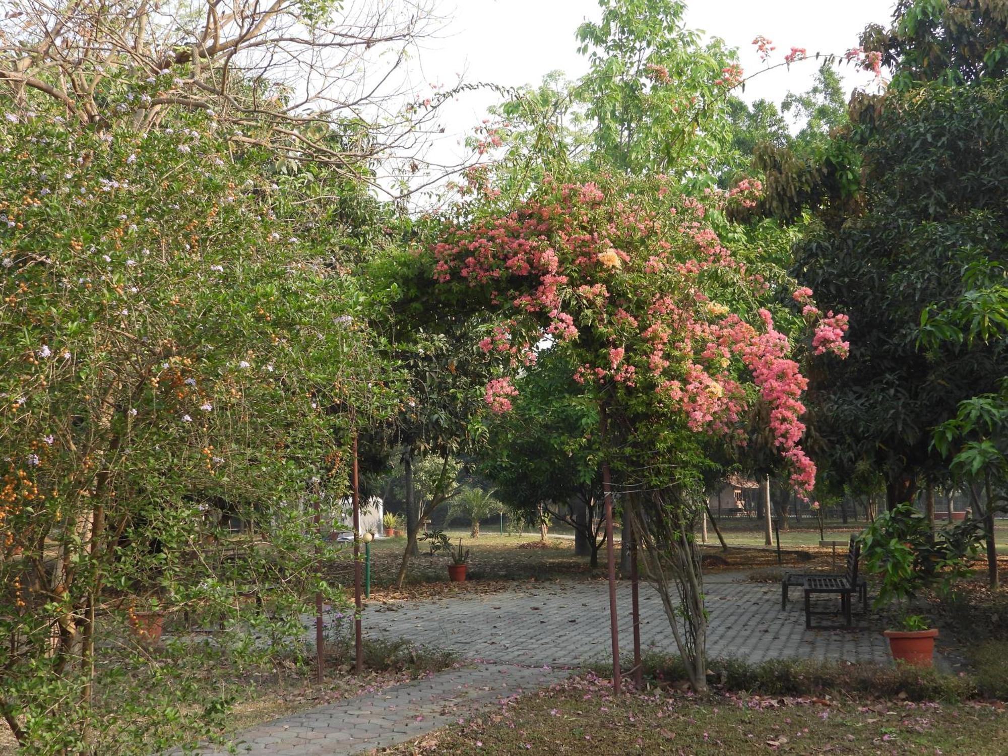 Lumbini Buddha Garden Resort Luaran gambar